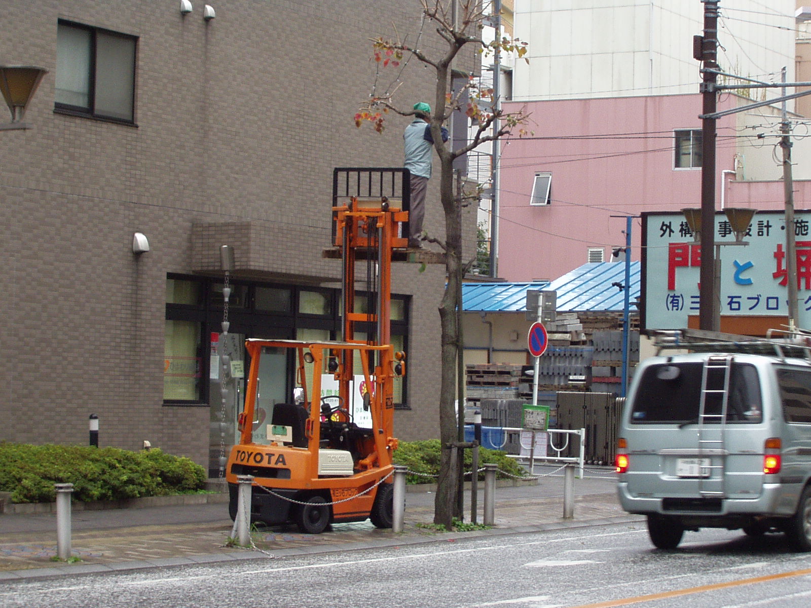 P1010133.JPG